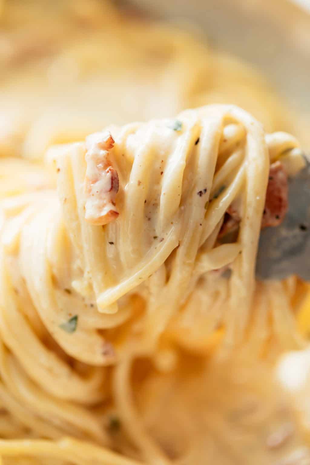 Fettuccine Alfredo with Bacon - Crave It All